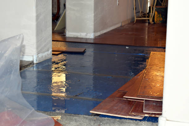 Professional Flood Damage Repair technician working in Buckland, MA